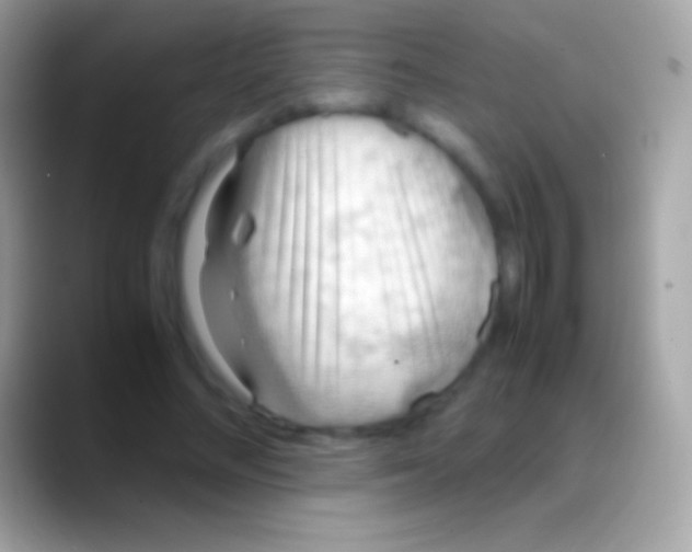 X0000088150684200706041355