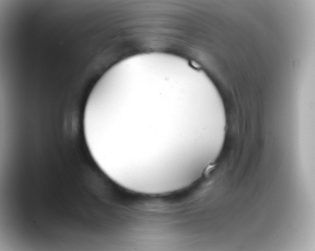 X0000088150685200706041355