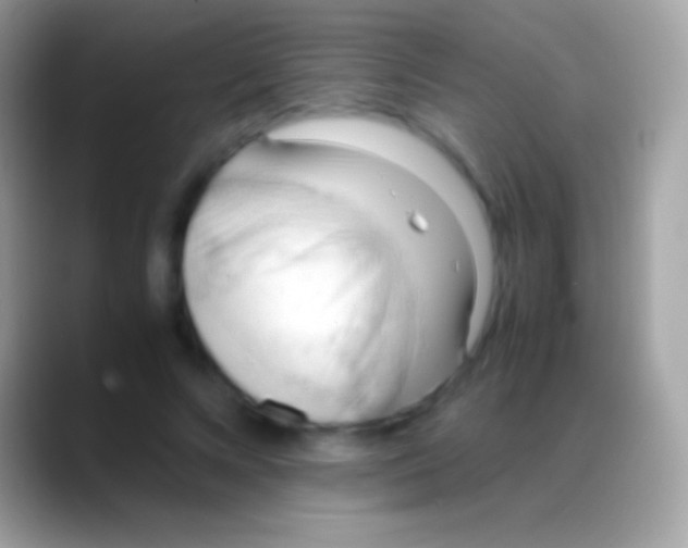 X0000088150688200706041355