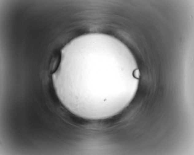 X0000088150691200706041355