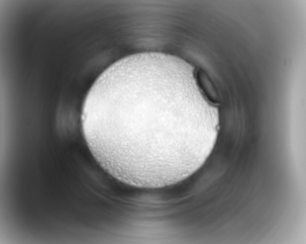 X0000088150692200706041355