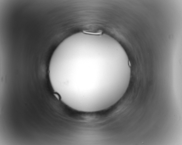 X0000088150693200706041355