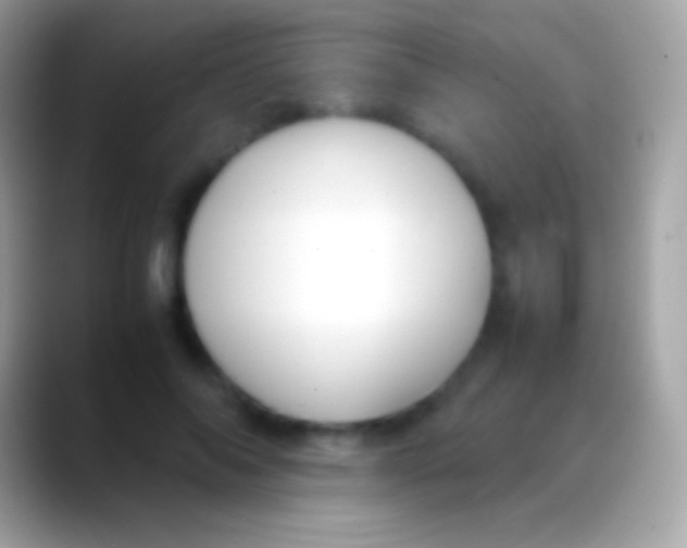 X0000088150694200706041355