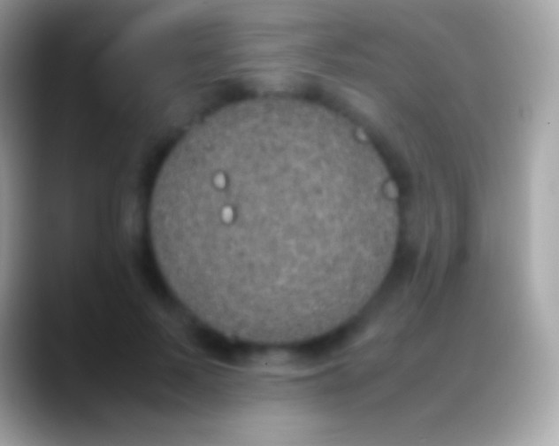 X0000088150695200706041355