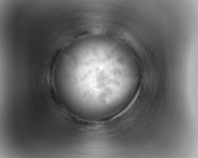 X0000088150696200706041355