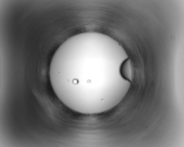 X0000088150698200706041355