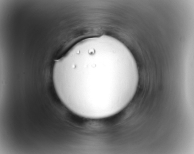 X0000088150699200706041355