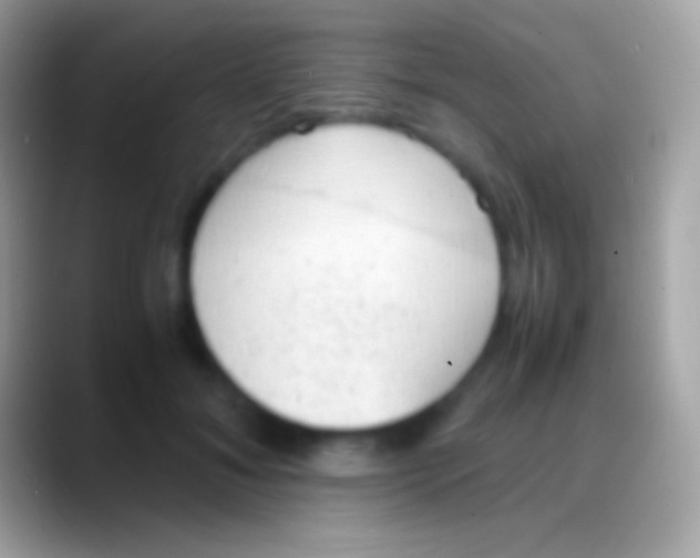 X0000088150700200706041355