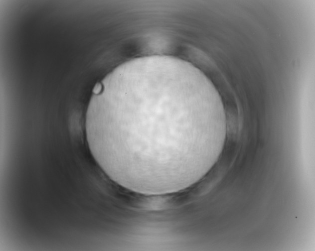 X0000088150701200706041355