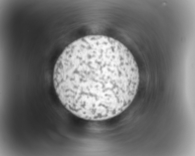 X0000088150703200706041355