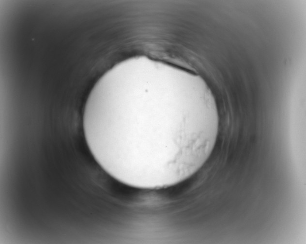 X0000088150704200706041355