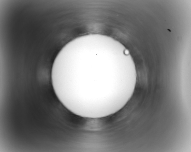 X0000088150705200706041355