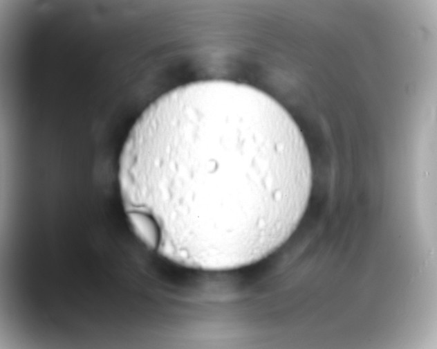 X0000088150707200706041355