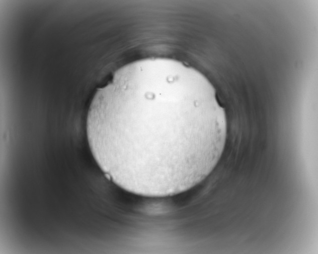 X0000088150708200706041355