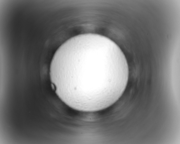 X0000088150711200706041355