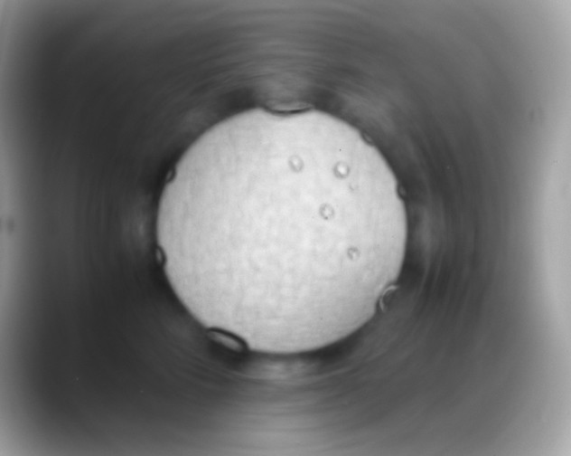 X0000088150712200706041355