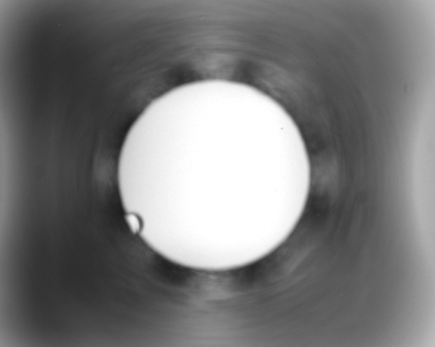 X0000088150713200706041355