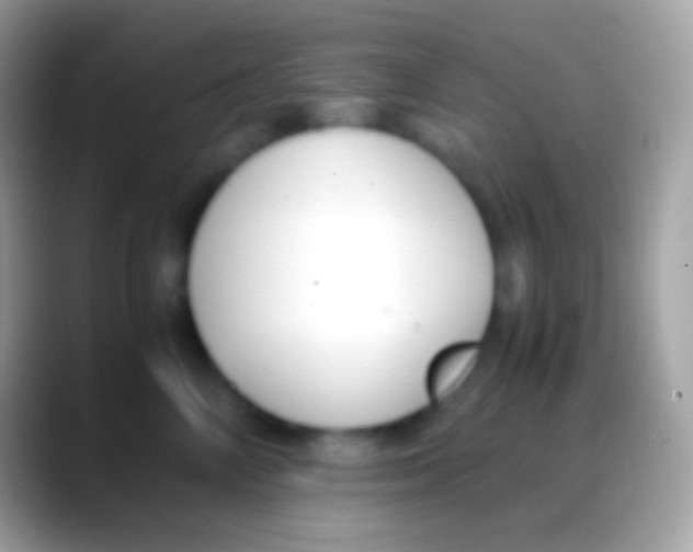 X0000088150714200706041355