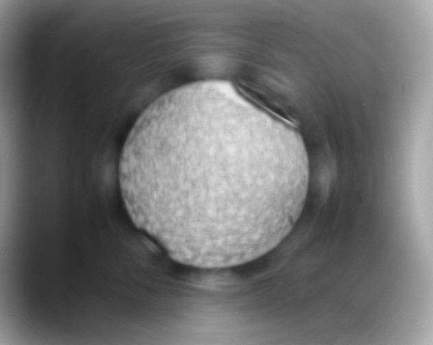 X0000088150716200706041355