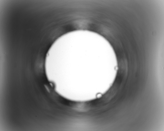 X0000088150717200706041355