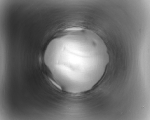 X0000088150720200706041355