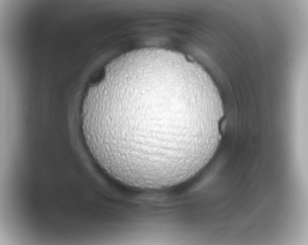 X0000088150721200706041354