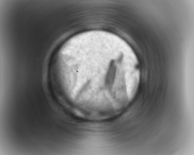 X0000088150724200706041354