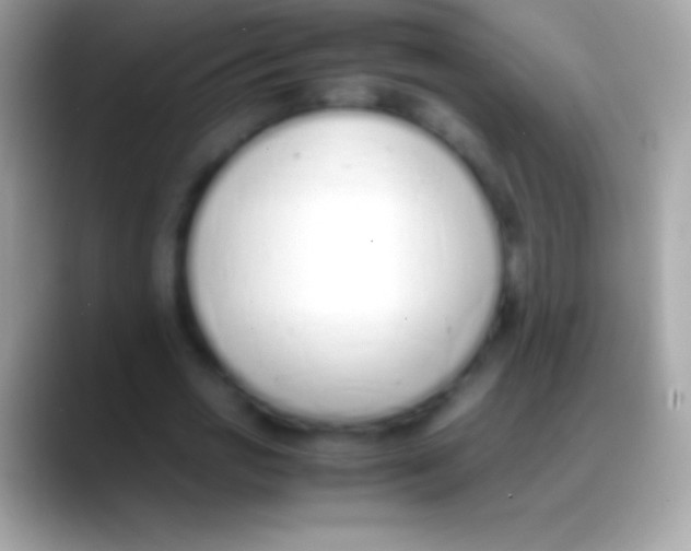 X0000088150725200706041354