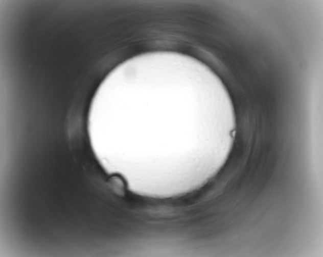 X0000088150729200706041354