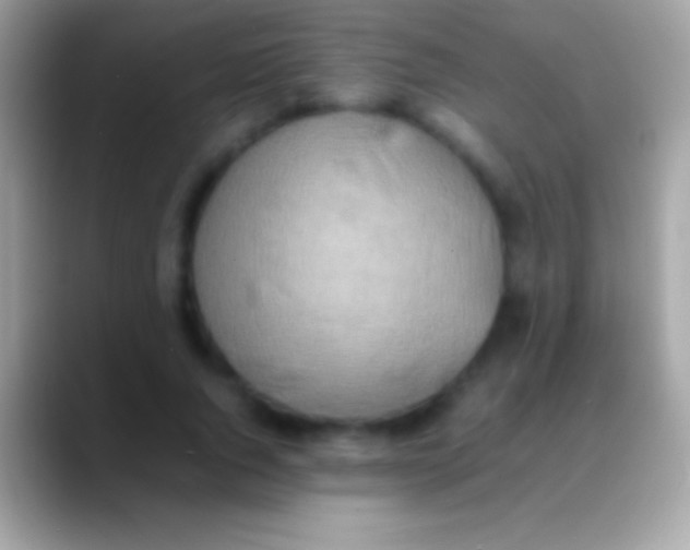 X0000088150736200706041354