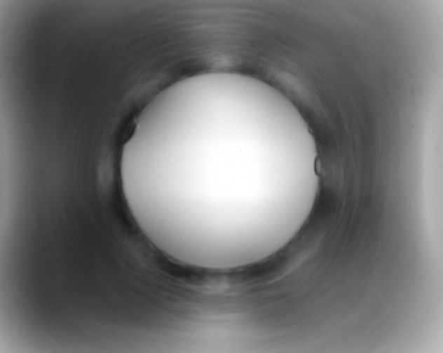 X0000088150740200706041354