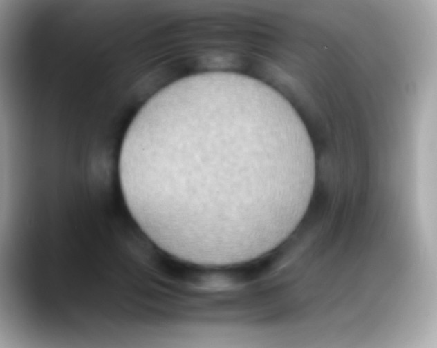 X0000088150741200706041354