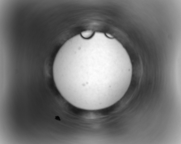 X0000088150755200706041354