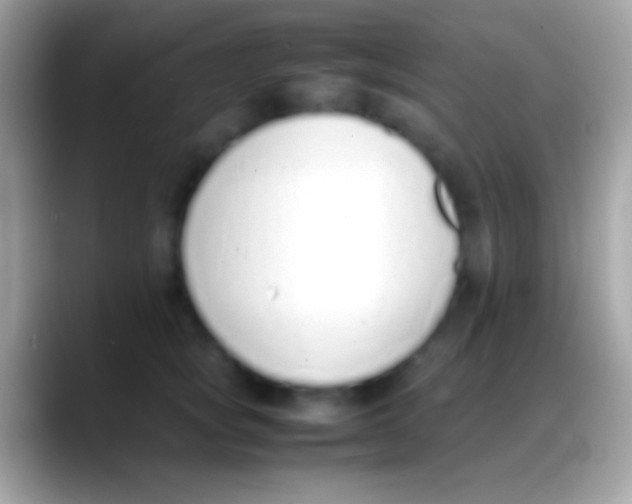 X0000088150757200706041354