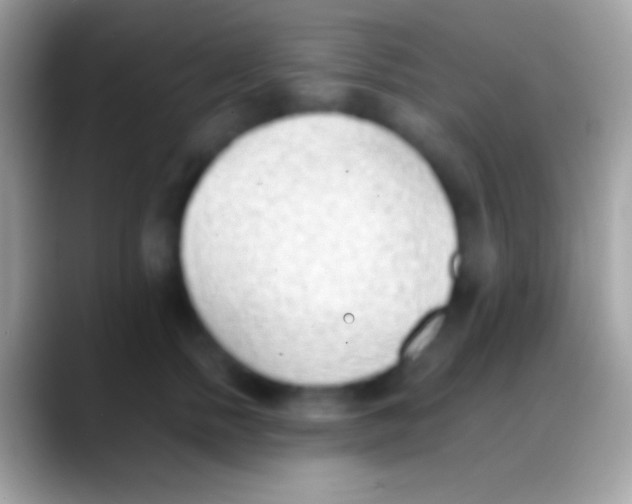 X0000088150758200706041355