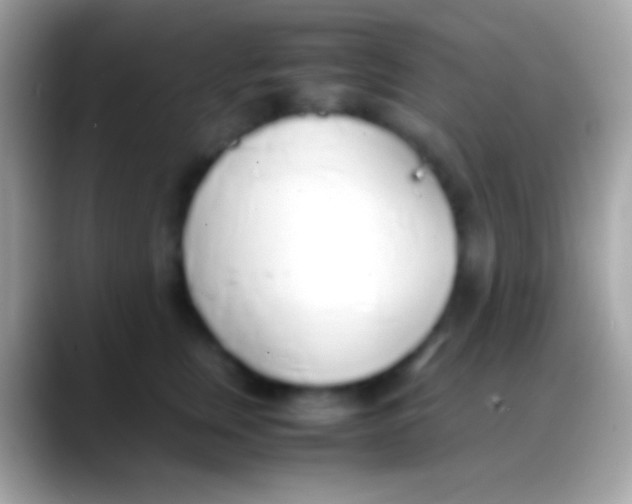 X0000088150759200706041355