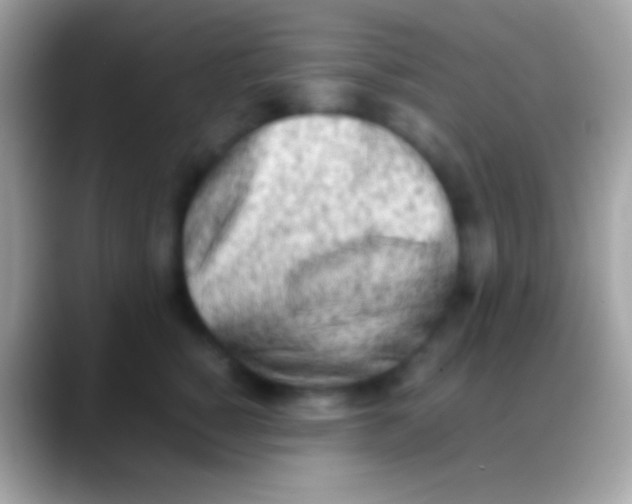 X0000088150760200706041355