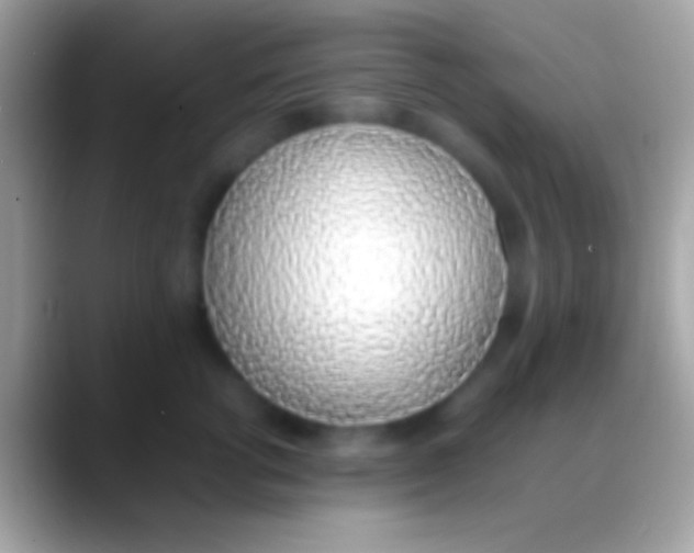 X0000088150762200706041355