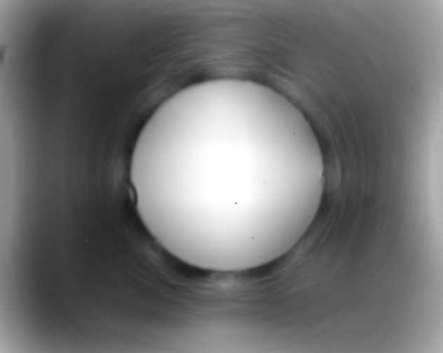 X0000088150764200706041355