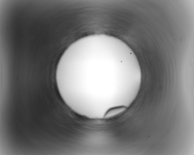 X0000088150768200706041355