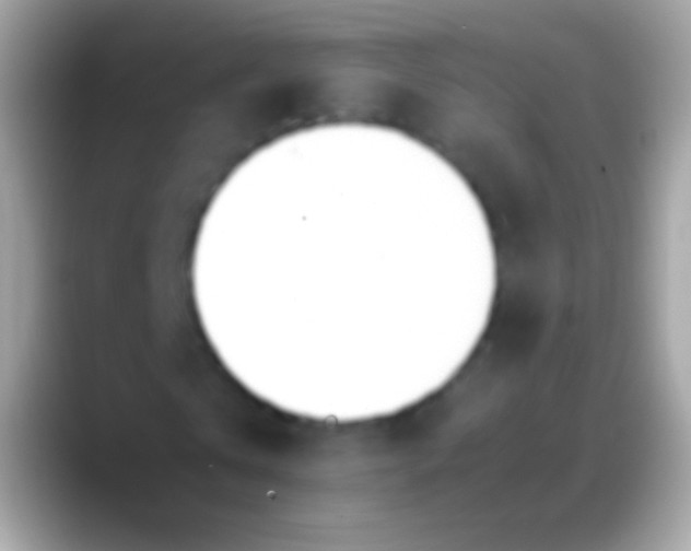 X0000088150769200706041354