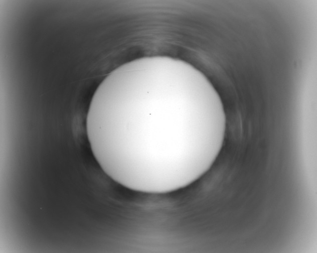 X0000088150770200706041354