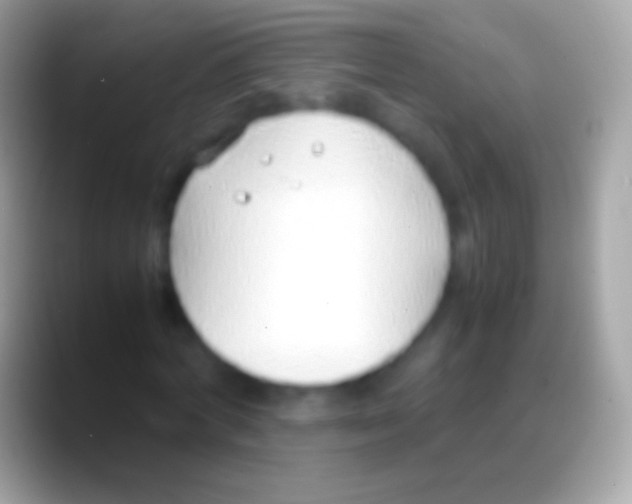 X0000088150772200706041354