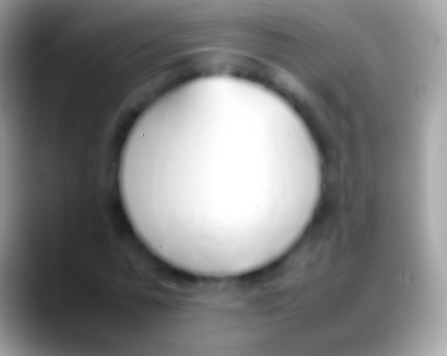 X0000088150775200706041354