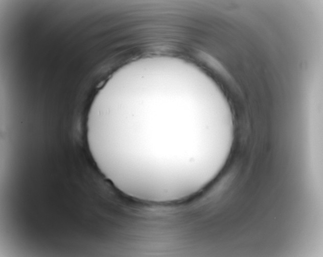 X0000088150777200706041354