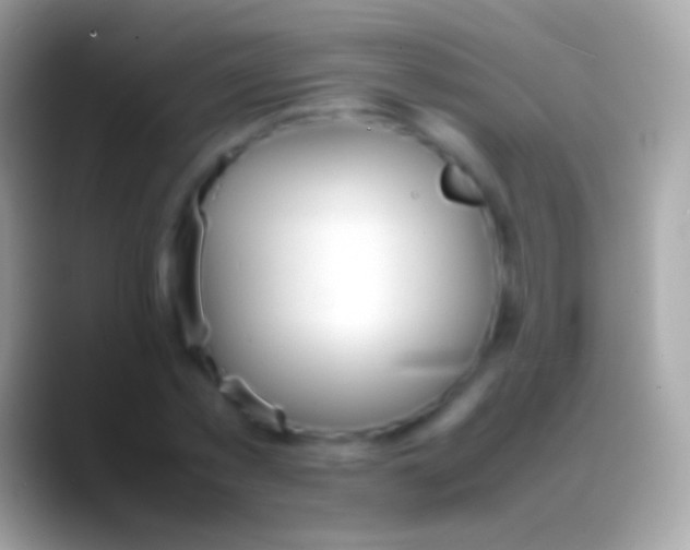 X0000088150781200706041354