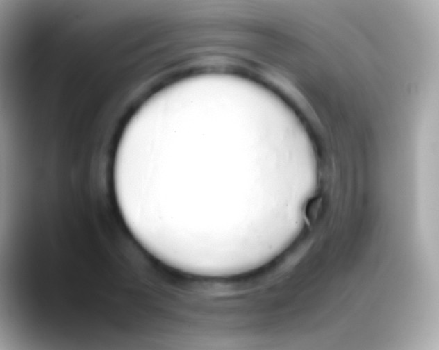 X0000088150783200706041354