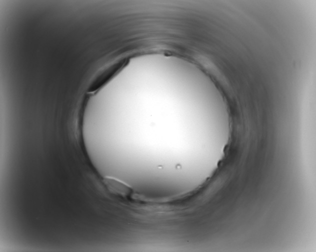 X0000088150789200706041354