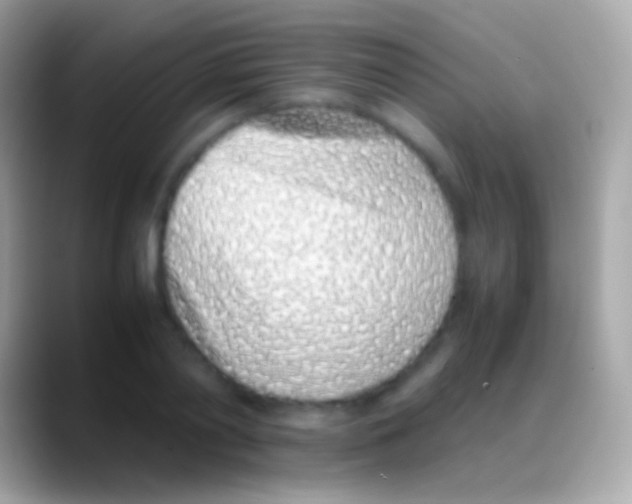 X0000088150790200706041354