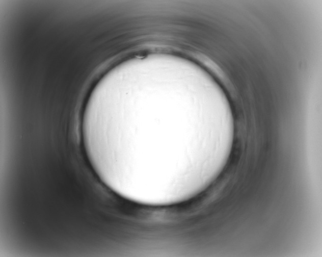 X0000088150791200706041354